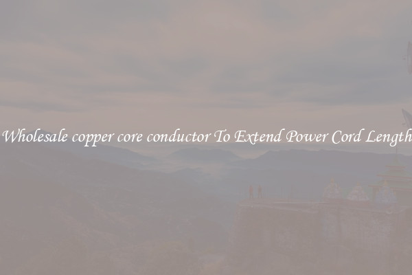 Wholesale copper core conductor To Extend Power Cord Length