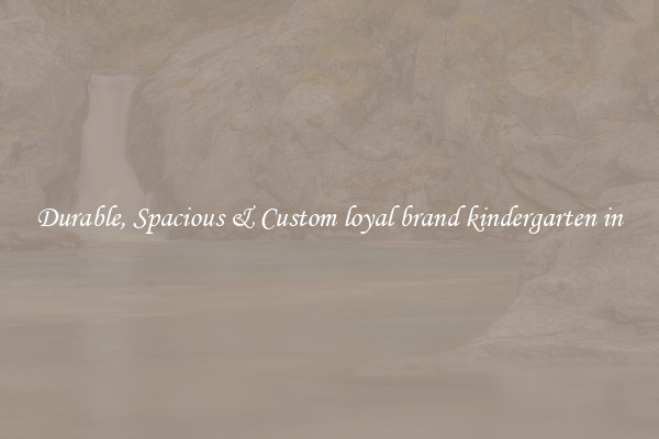 Durable, Spacious & Custom loyal brand kindergarten in
