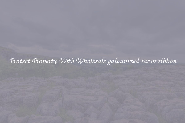 Protect Property With Wholesale galvanized razor ribbon