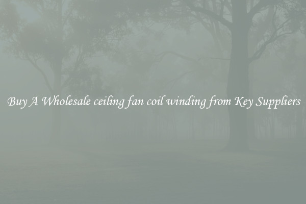Buy A Wholesale ceiling fan coil winding from Key Suppliers