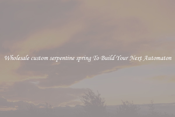 Wholesale custom serpentine spring To Build Your Next Automaton