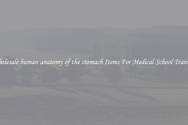 Wholesale human anatomy of the stomach Items For Medical School Training