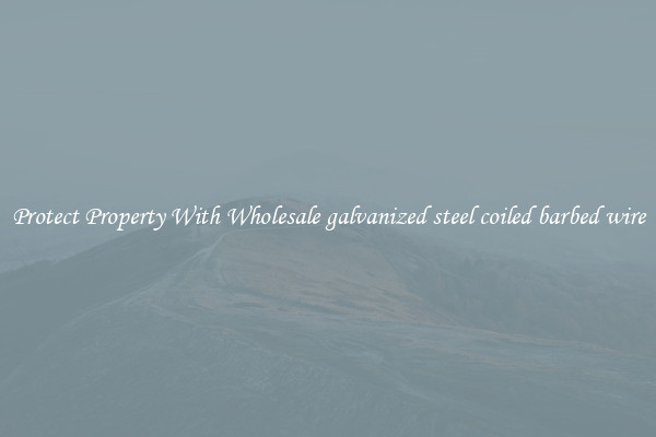 Protect Property With Wholesale galvanized steel coiled barbed wire