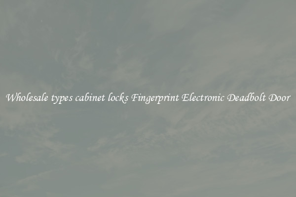 Wholesale types cabinet locks Fingerprint Electronic Deadbolt Door 