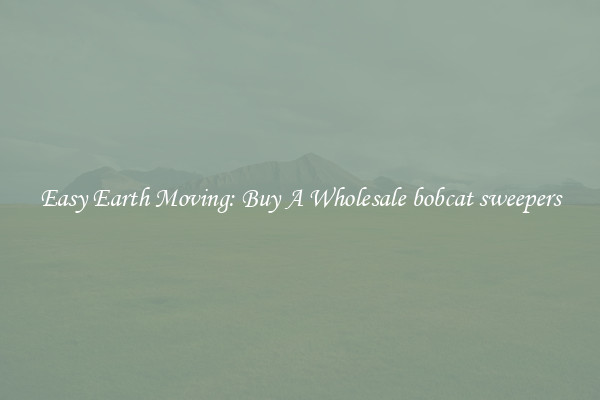 Easy Earth Moving: Buy A Wholesale bobcat sweepers