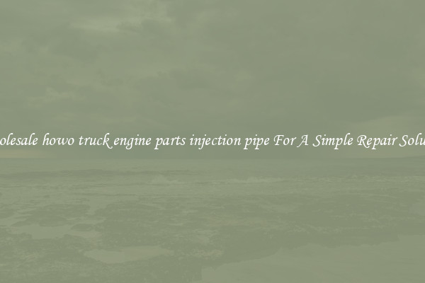Wholesale howo truck engine parts injection pipe For A Simple Repair Solution