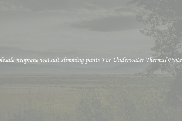 Wholesale neoprene wetsuit slimming pants For Underwater Thermal Protection