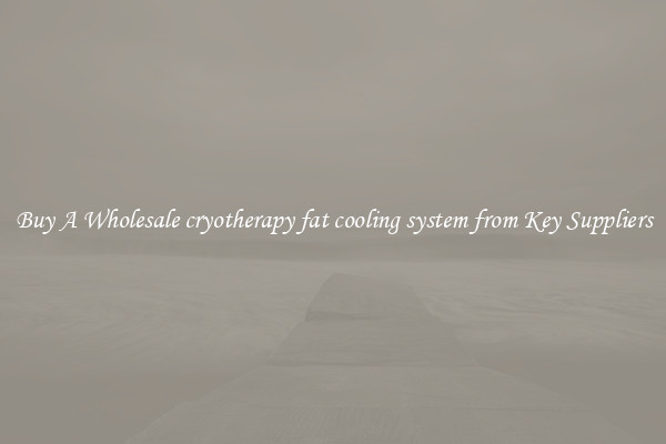 Buy A Wholesale cryotherapy fat cooling system from Key Suppliers