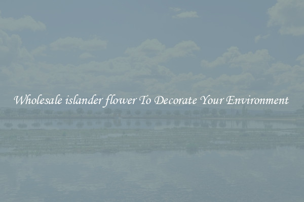 Wholesale islander flower To Decorate Your Environment 