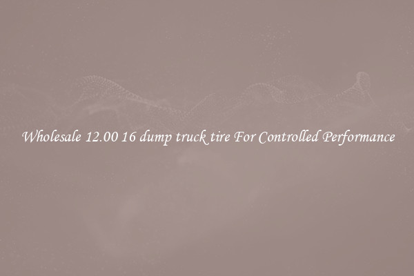 Wholesale 12.00 16 dump truck tire For Controlled Performance