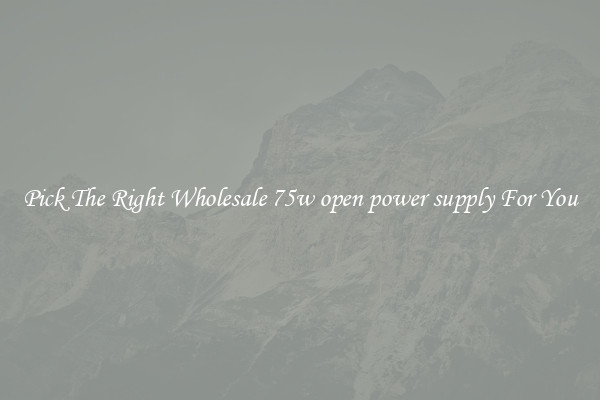 Pick The Right Wholesale 75w open power supply For You