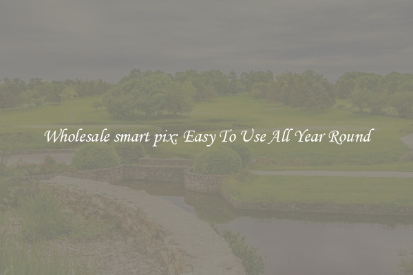 Wholesale smart pix: Easy To Use All Year Round