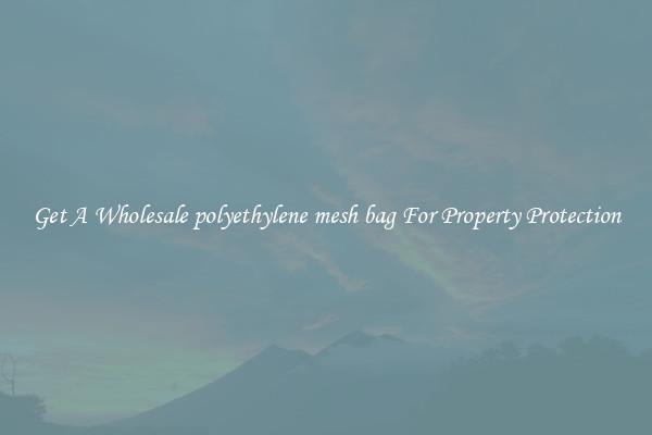 Get A Wholesale polyethylene mesh bag For Property Protection