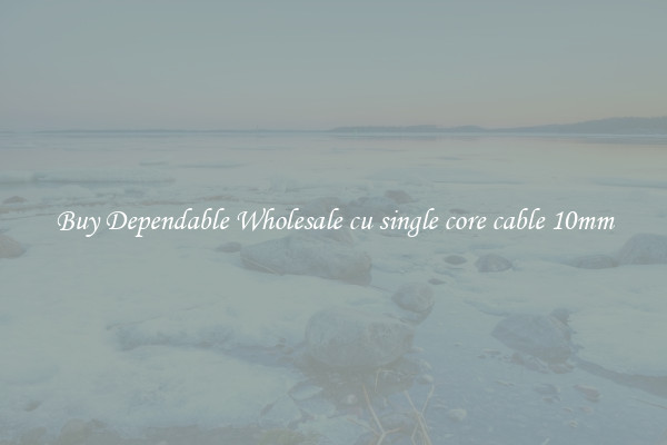 Buy Dependable Wholesale cu single core cable 10mm