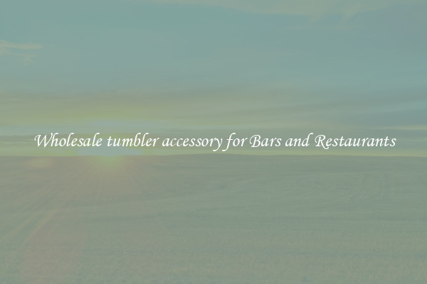 Wholesale tumbler accessory for Bars and Restaurants
