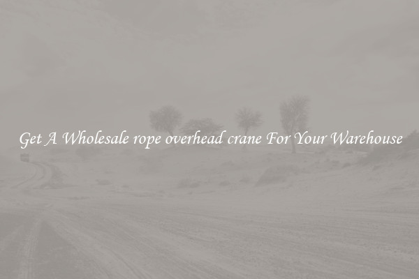 Get A Wholesale rope overhead crane For Your Warehouse