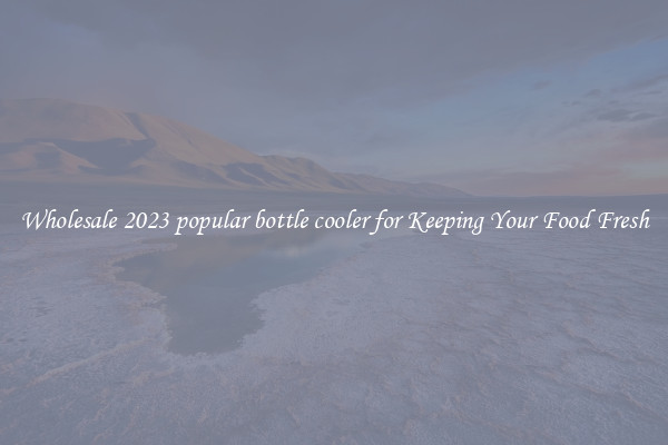 Wholesale 2023 popular bottle cooler for Keeping Your Food Fresh