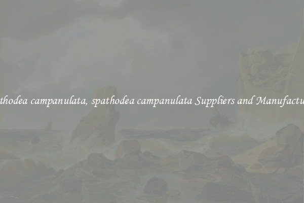 spathodea campanulata, spathodea campanulata Suppliers and Manufacturers