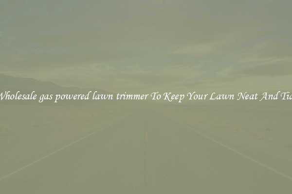 Wholesale gas powered lawn trimmer To Keep Your Lawn Neat And Tidy