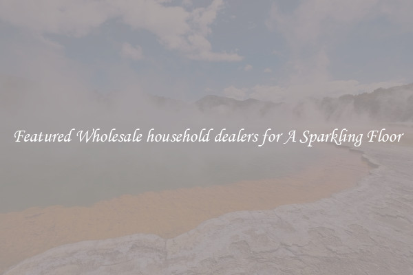 Featured Wholesale household dealers for A Sparkling Floor