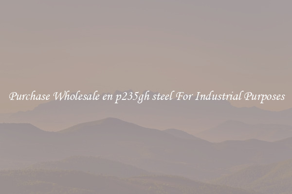 Purchase Wholesale en p235gh steel For Industrial Purposes